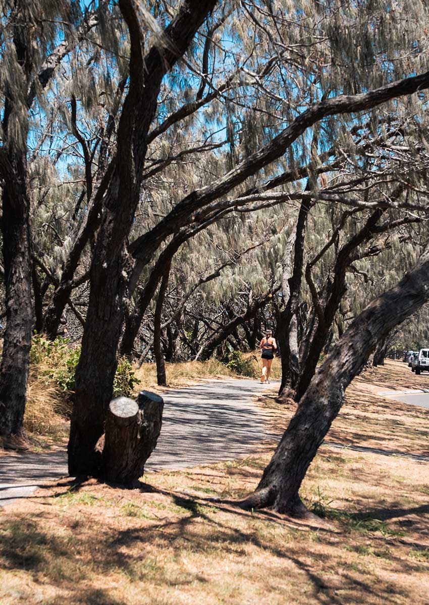 Buddina Property Market